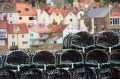 Haben Sie schon einmal darüber nachgedacht, Haie angeln zu gehen?